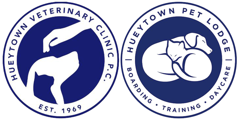 Hueytown Veterinary Clinic & Pet Lodge logos