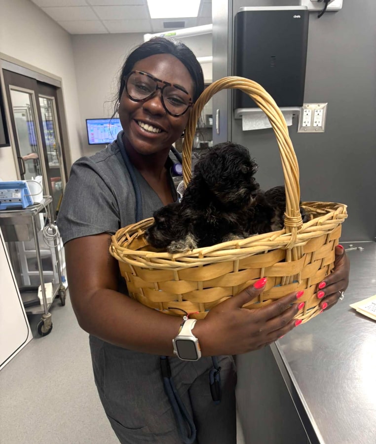 Why Work With Us Lady holding a fluppy pet sitting in a bucket