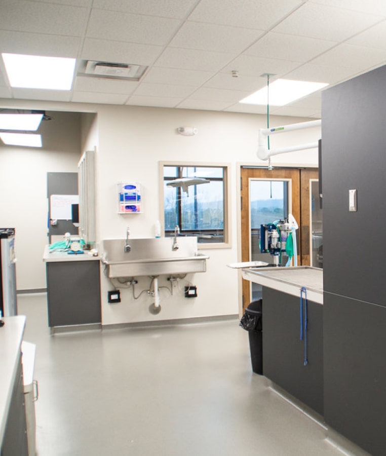 Clinic interior