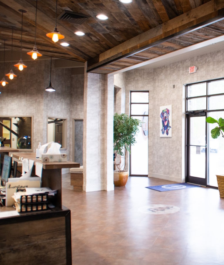Clinic interior