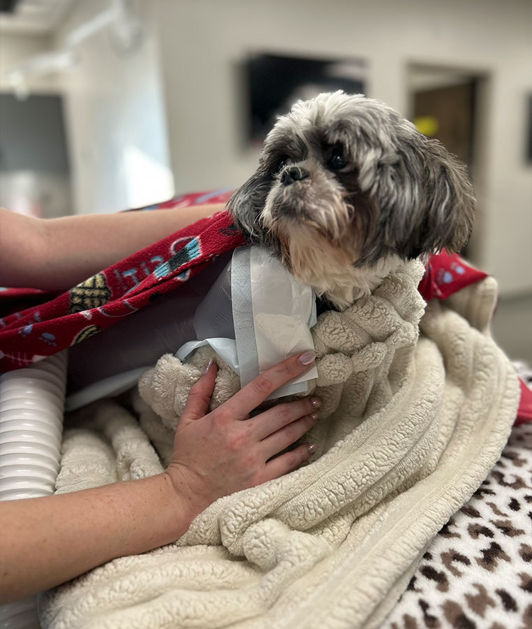 Patient-Post-Op Patient Post-Op
